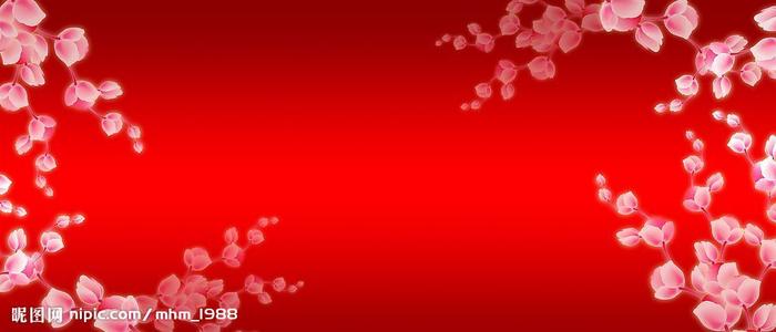 一比一仿西澳大利亚州驾驶证